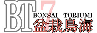 Bonsai Toriumi Logo